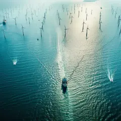 PGE Baltica – Morskie farmy wiatrowe i struktura zarządu PGE Baltica