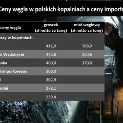 Ceny węgla Tauron – Cennik i aktualne ceny wydobycia węgla w Polsce