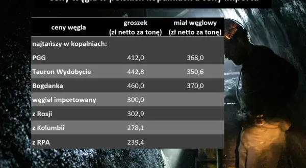 Ceny węgla Tauron – Cennik i aktualne ceny wydobycia węgla w Polsce