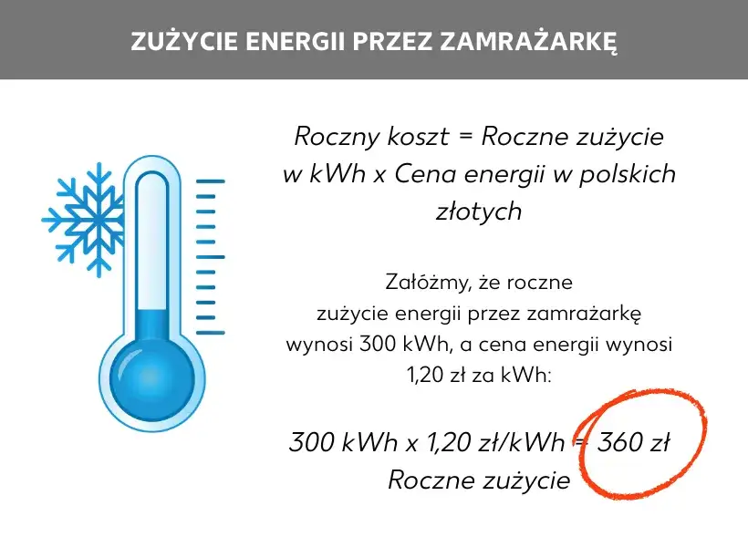 Zdjęcie Zaskakujące zużycie prądu przez starą zamrażarkę - poznaj realne koszty